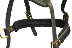 Dean And Tyler Hondentuig Cowboy -Huisdierbenodigdheden image 103