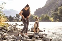 Curli Beloningszakje Grijs -Huisdierbenodigdheden image 1041