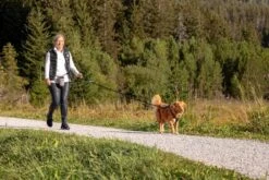 Curli Beloningszakje Grijs -Huisdierbenodigdheden image 1042