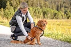 Curli Beloningszakje Grijs -Huisdierbenodigdheden image 1043