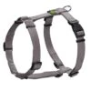 Hunter Hondentuig Vario Rapid Grijs -Huisdierbenodigdheden image 110