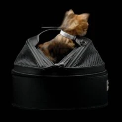 Sleepypod Draagtas Voor Huisdieren Medium Zwart -Huisdierbenodigdheden image 1143