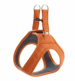 Hunter Hondentuig Hilo Oranje