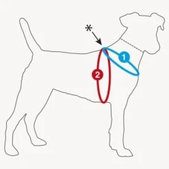 Curli Hondentuig Magnetic Harness Rood -Huisdierbenodigdheden image 12