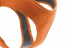 Hunter Hondentuig Hilo Oranje -Huisdierbenodigdheden image 120