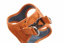 Hunter Hondentuig Hilo Oranje -Huisdierbenodigdheden image 122