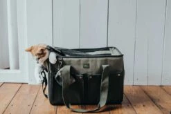 Hunter Hondendraagtas Madison -Huisdierbenodigdheden image 1222