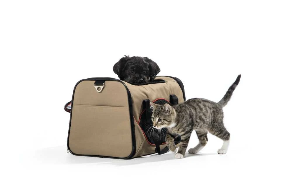 Hunter Hondendraagtas Kansas Beige 5 Hunter Hondendraagtas Kansas Beige - Afbeelding 3