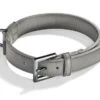 Schröders Hund Hondenhalsband Chic Grijs -Huisdierbenodigdheden image 1247