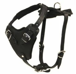 Dean And Tyler Hondentuig The Boss -Huisdierbenodigdheden image 125