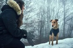 Hunter Hondenjas Uppsala Softshell -Huisdierbenodigdheden image 1250