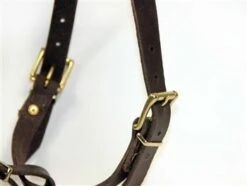 Dean And Tyler Hondentuig The Boss -Huisdierbenodigdheden image 126