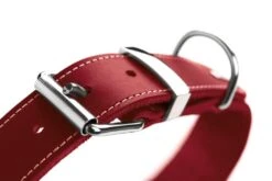 Hunter Hondenhalsband Aalborg Special Rood -Huisdierbenodigdheden image 1271