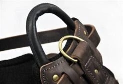 Dean And Tyler Hondentuig The Boss -Huisdierbenodigdheden image 128