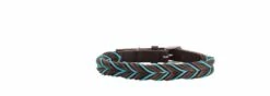 Hunter Hondenhalsband Solid Education Cord Bruin Turquoise -Huisdierbenodigdheden image 1286