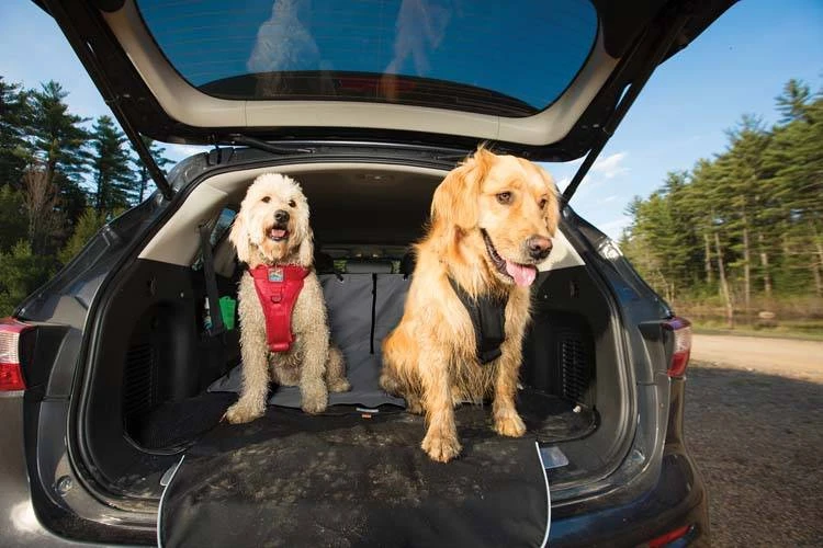 Kurgo Hondendeken Voor De Kofferbak Charcoal