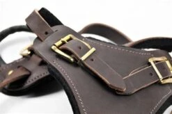 Dean And Tyler Hondentuig The Boss -Huisdierbenodigdheden image 129