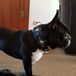 Huisdierbenodigdheden -Huisdierbenodigdheden image 1300