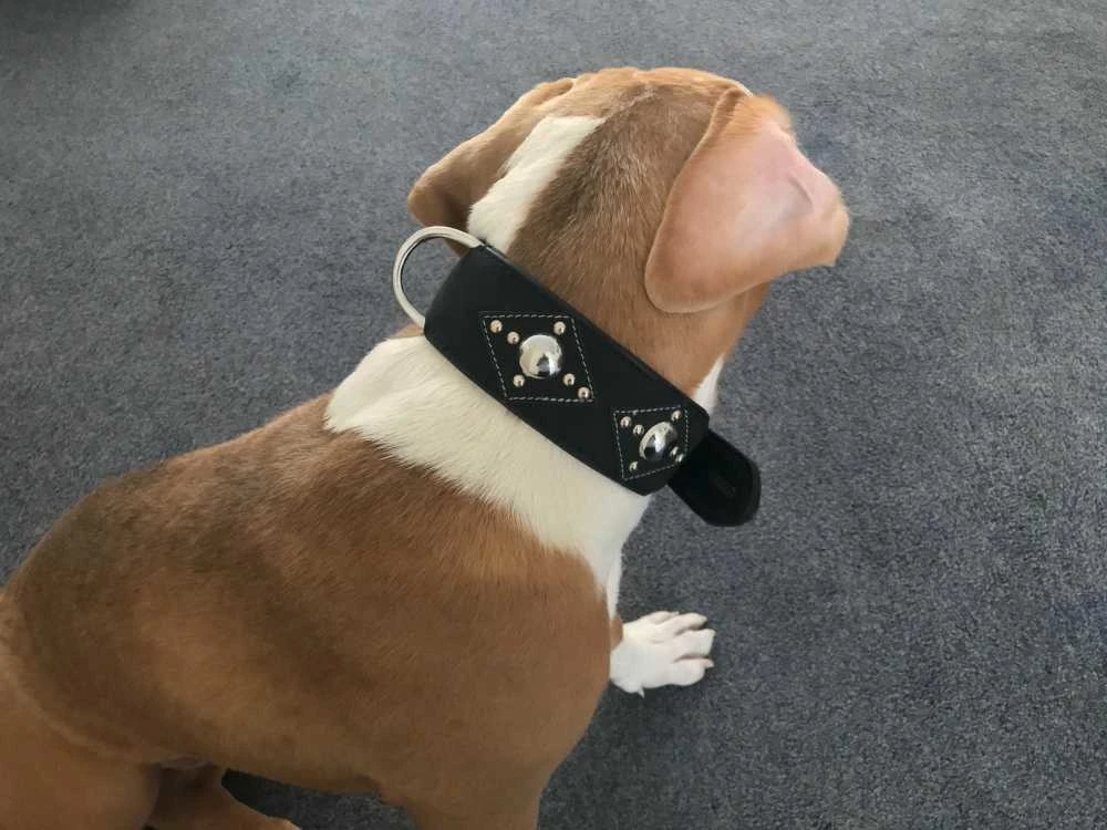 Doxtasy Hondenhalsband Ruff Chique Black 8 Doxtasy Hondenhalsband Ruff Chique Black - Afbeelding 6