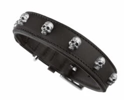 Hunter Hondenhalsband Tijuana