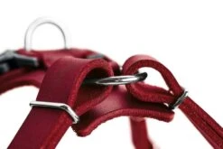 Hunter Hondentuig Aalborg Rood -Huisdierbenodigdheden image 1315