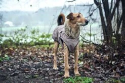 Hunter Hondenjas Uppsala Taupe -Huisdierbenodigdheden image 1336