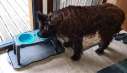 Dexas Adjustable Height Pet Feeder Pro Blue -Huisdierbenodigdheden image 1347