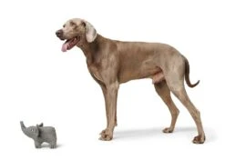 Hunter Hondenspeelgoed Eiby 10 Hunter Hondenspeelgoed Eiby -Huisdierbenodigdheden image 1351