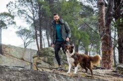 Rogz Hondenriem Handsfree Airtech Sport Grijs -Huisdierbenodigdheden image 1375