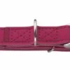Hunter Hondenhalsband Softie Alu Strong Framboos -Huisdierbenodigdheden image 1387