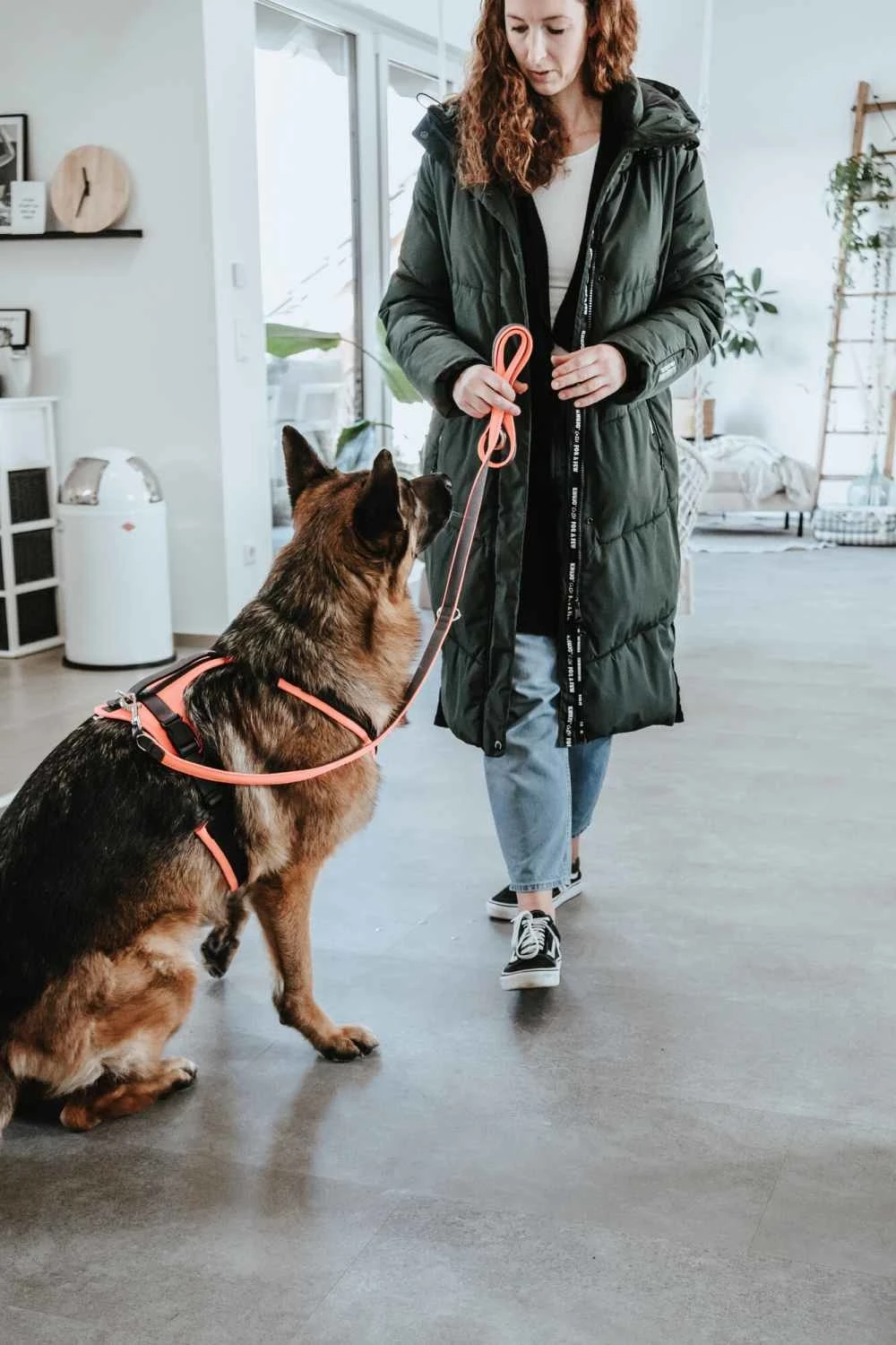 Hunter Veiligheidsharnas Maldon Oranje 6 Hunter Veiligheidsharnas Maldon Oranje - Afbeelding 4