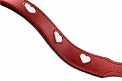 Hunter Verstelbare Hondenriem Love -Huisdierbenodigdheden image 1418