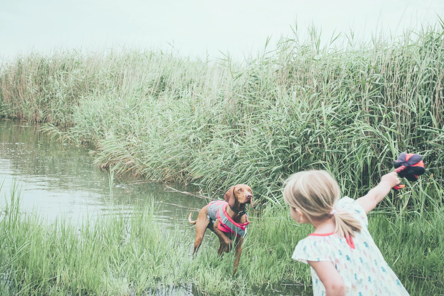 Hunter Hondenzwemvest Moss 8 Hunter Hondenzwemvest Moss - Afbeelding 6