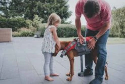 Hunter Hondenzwemvest Moss 19 Hunter Hondenzwemvest Moss -Huisdierbenodigdheden image 1442