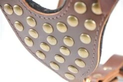 Dean And Tyler Hondentuig Stud Brother -Huisdierbenodigdheden image 147