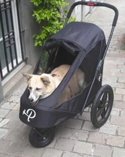 Petique Hondenbuggy Breeze -Huisdierbenodigdheden image 1481