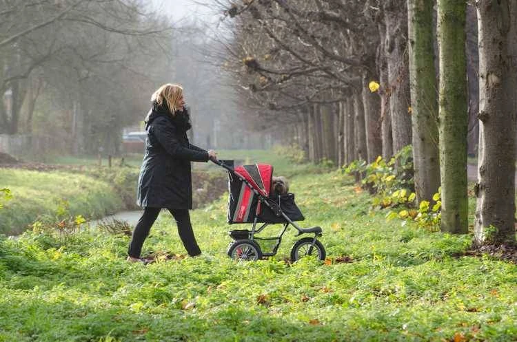 Innopet Hondenbuggy Comfort EFA Rood 4 Innopet Hondenbuggy Comfort EFA Rood - Afbeelding 2