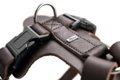 Hunter Hondentuig Aalborg Bruin -Huisdierbenodigdheden image 155