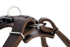 Hunter Hondentuig Aalborg Bruin -Huisdierbenodigdheden image 157