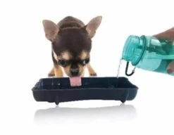 M-Pets Drinkfles Hond Travel Bottle Blauw -Huisdierbenodigdheden image 1613
