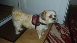 Doxtasy Hondentuig Survival Harness Tartan Red -Huisdierbenodigdheden image 169