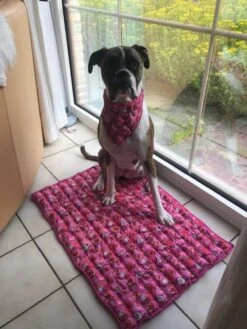 Aqua Coolkeeper Koelmat Roses -Huisdierbenodigdheden image 1742