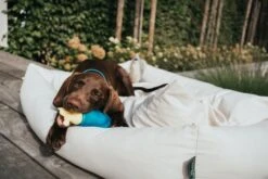 Hunter Koel Speelgoed Alaska -Huisdierbenodigdheden image 1746