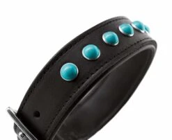 Hunter Hondenhalsband Modica