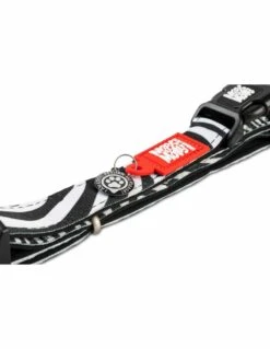 Max & Molly Hondenhalsband Zebra -Huisdierbenodigdheden image 1769