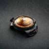 Orbiloc Dog Dual Light Geel 2 Orbiloc Dog Dual Light Geel -Huisdierbenodigdheden image 1773