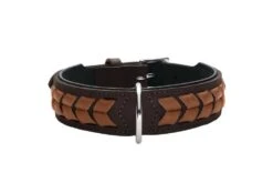Hunter Hondenhalsband El Paso Bruin