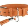 Hunter Hondenhalsband Cannes Oranje -Huisdierbenodigdheden image 1791