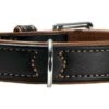 Hunter Hondenhalsband Canadian Zwart / Cognac -Huisdierbenodigdheden image 1804