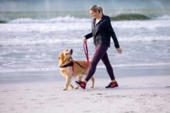 Rogz Hondentuig Airtech Sport Roze -Huisdierbenodigdheden image 181